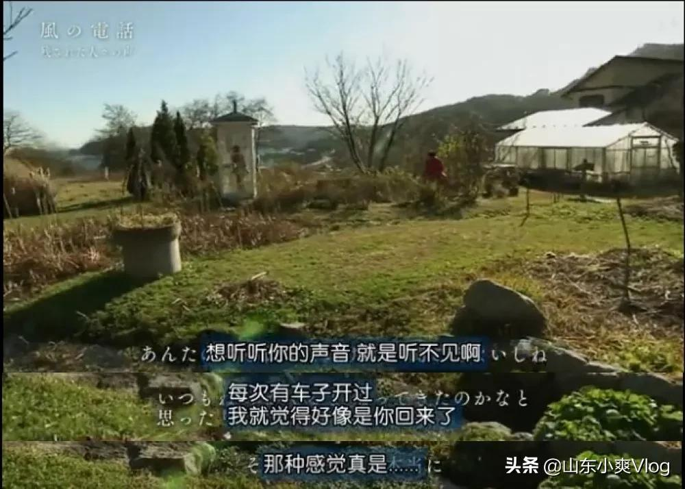 女明星一句话惹哭何炅:人生最残忍的事,就是来不及告别