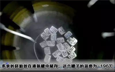 做试管婴儿全过程，看完真的心疼女性一万遍！