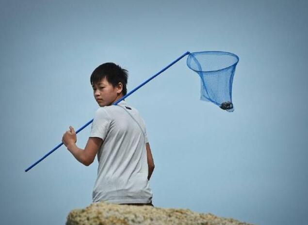 画面好美！全红婵海边捞螃蟹照曝光，网友调侃：又要破纪录了？