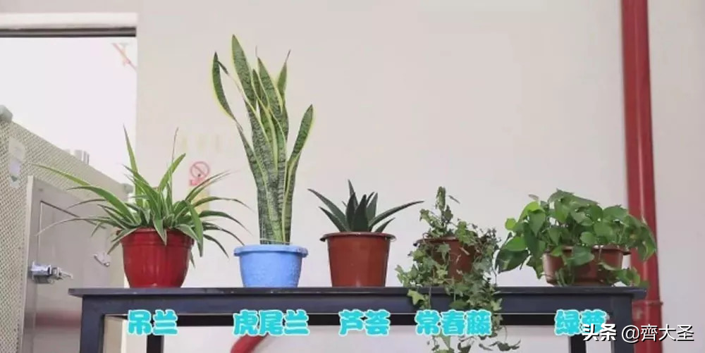 一专多能，一台空净解决「甲醛」+「病毒」+「PM2.5」