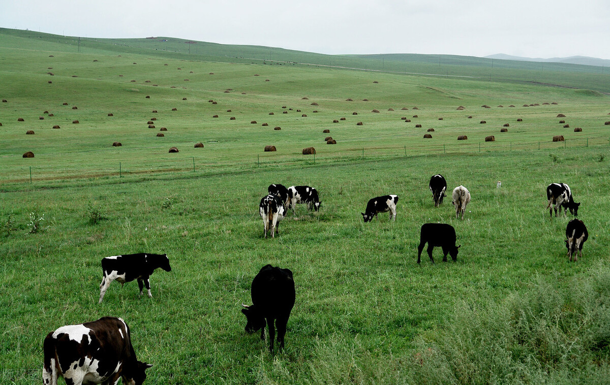 2021年艺考生你能上本科吗？八省最新发布的艺术类最低录取控制线