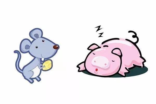 Ůʲô಻ʺϴ飨ʲôŮʺϴ飩-12ͼƬ-Ѷ