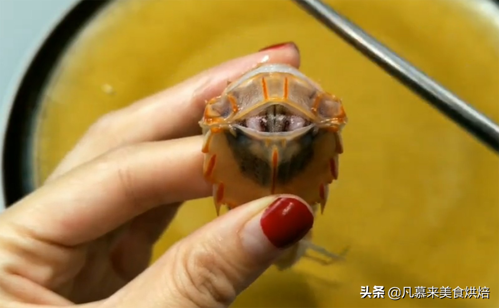皮皮虾好吃不好剥，皮皮虾怎么剥？2种妙招教您轻松快速剥皮皮虾