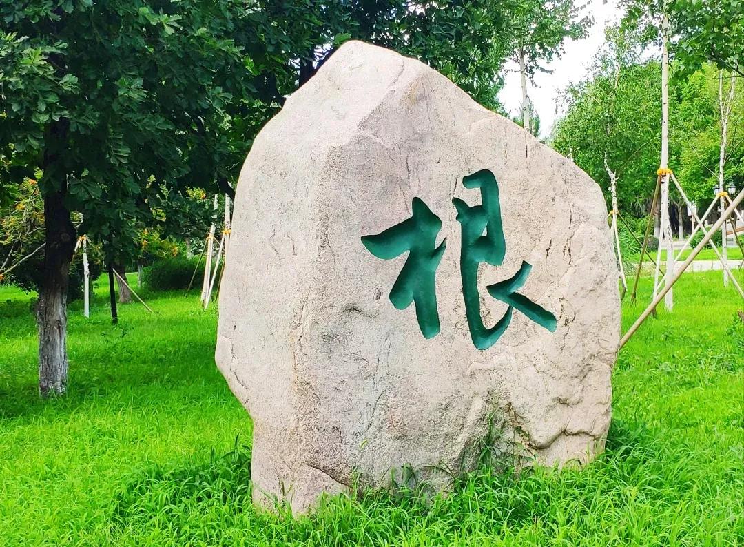 沈阳高等师范学校图片