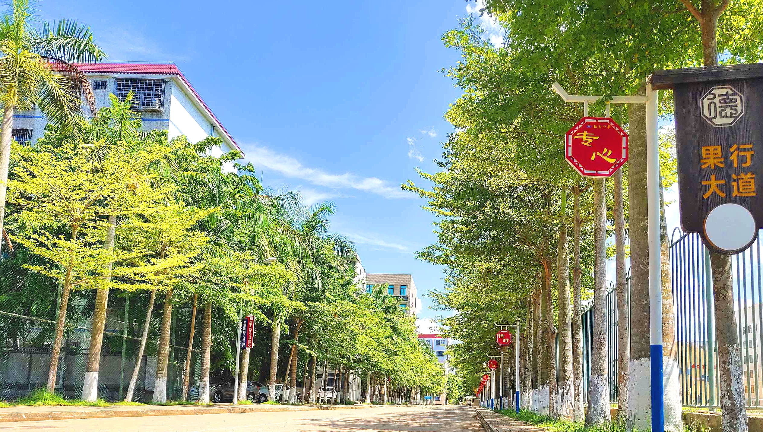 高山岭下茉莉花香 文澜江滨筑梦前行——写在临高中学建校九十周年之际