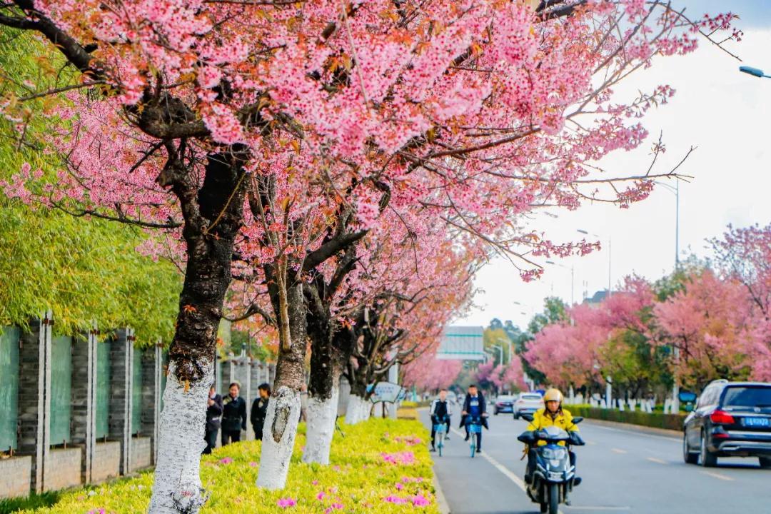 昆明最值得打卡的100个地方！你去过几个？