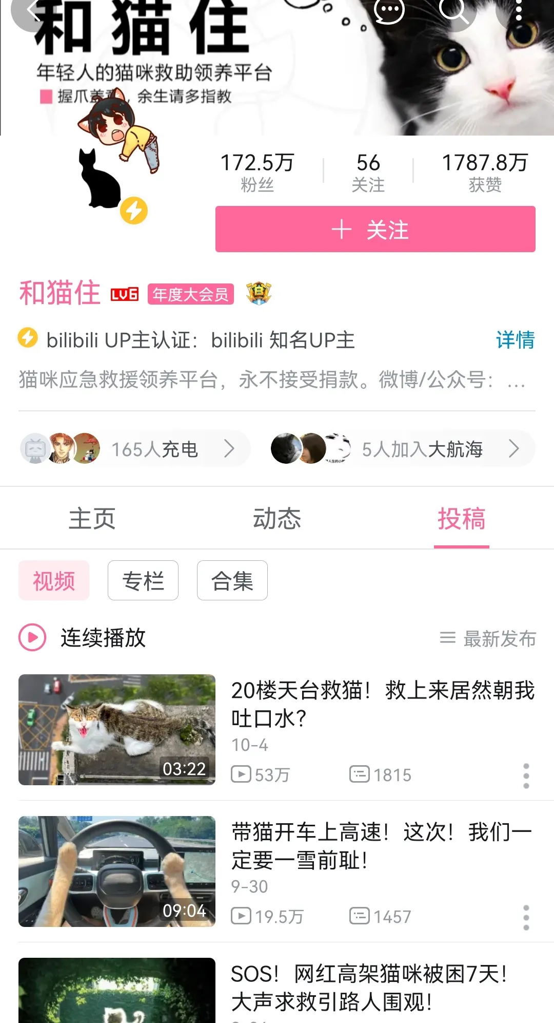 ?B站萌宠UP主盘点：花花与三猫继续领跑，新增三位百万级UP主