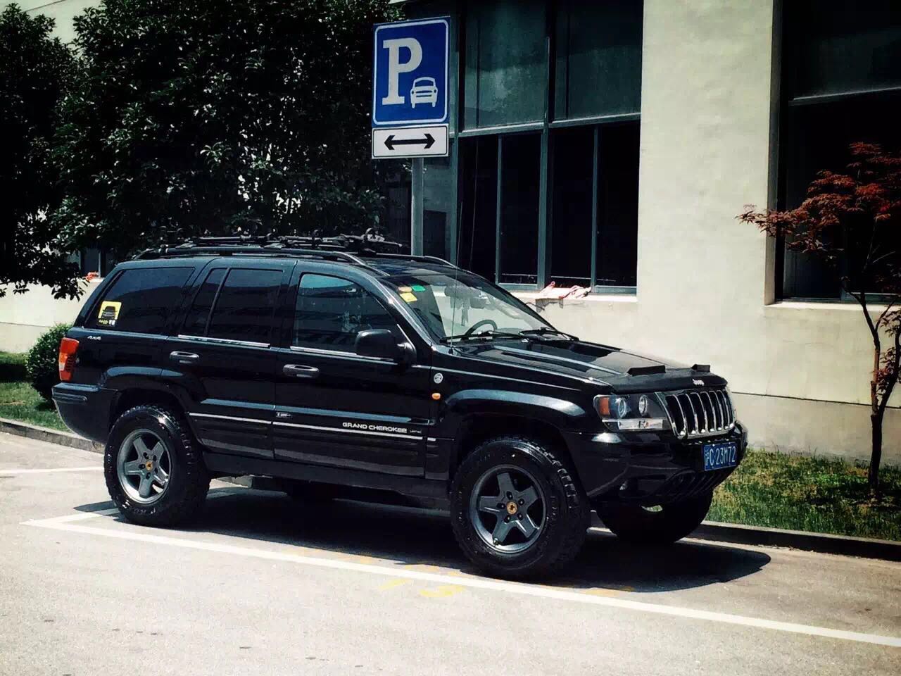 他陪我走遍天涯