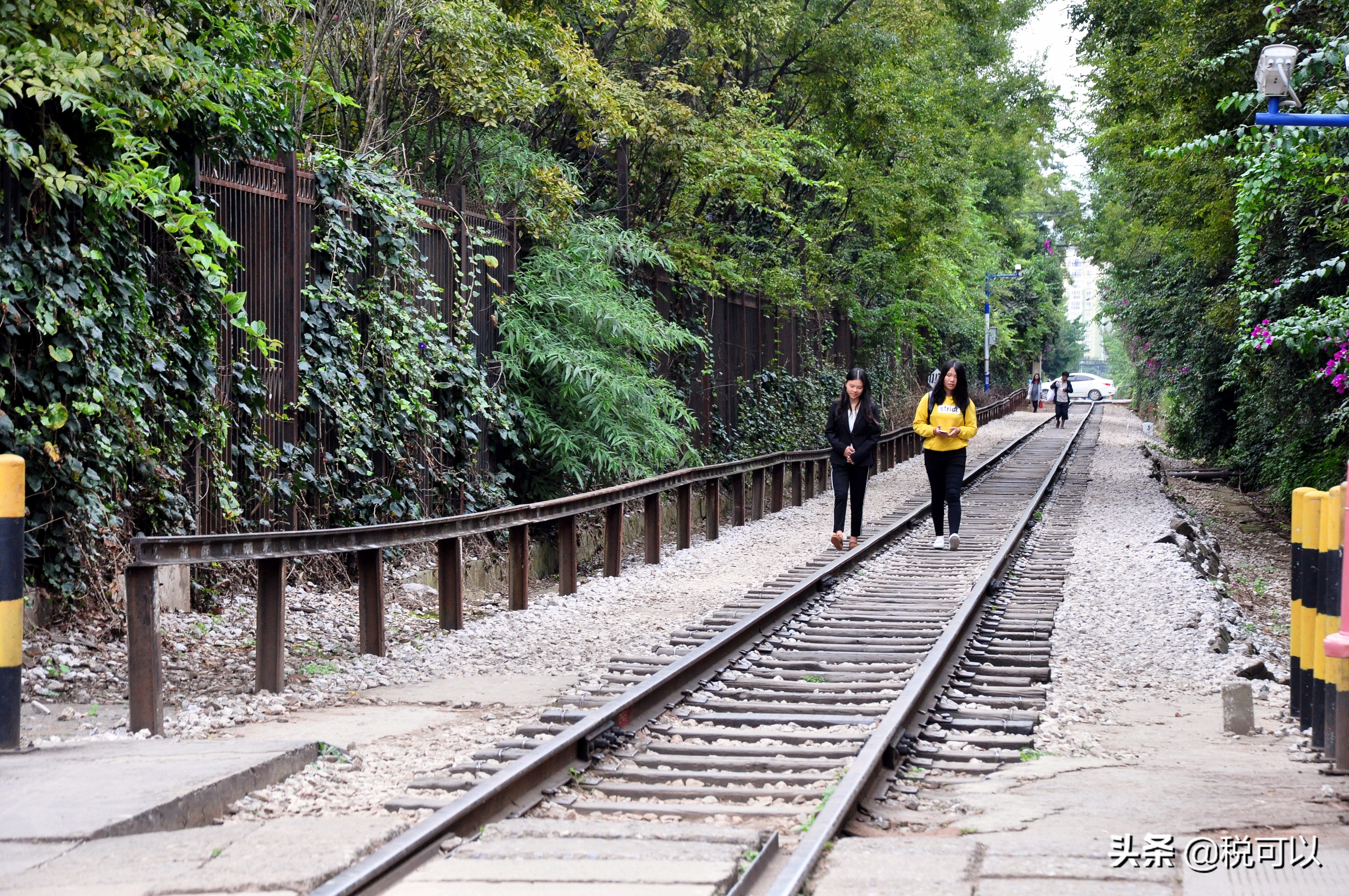 云南师范大学，和80年前的西南联大，到底啥关系？
