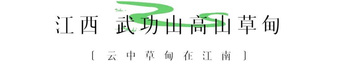 六月，要去草原打个滚