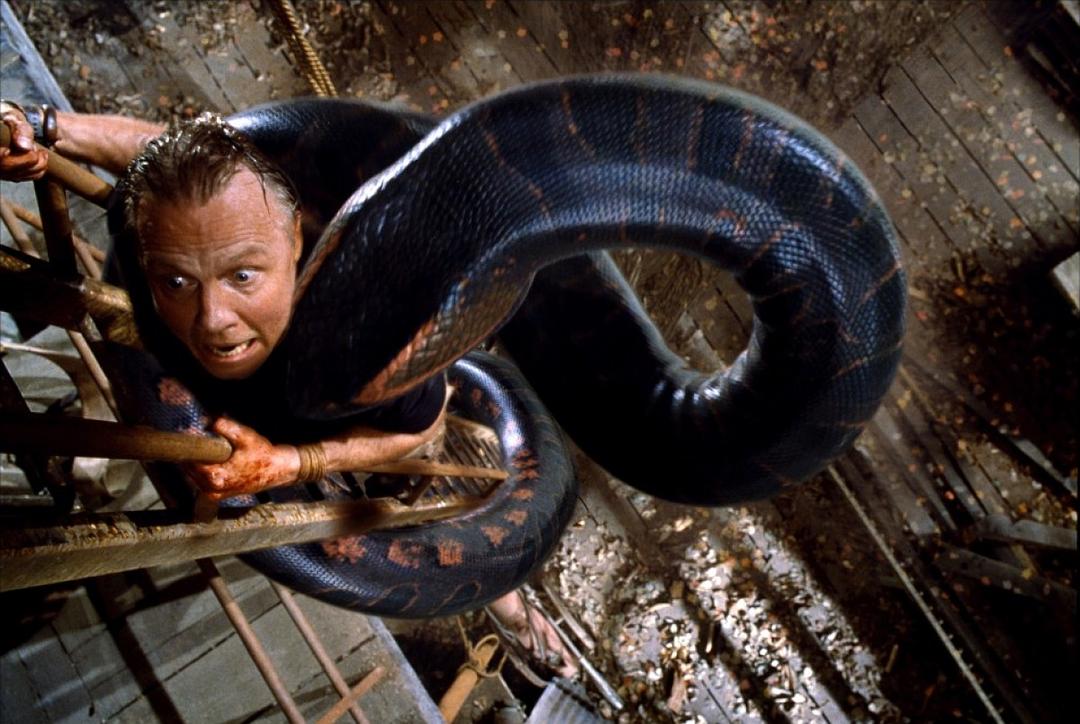 美国蛇类恐怖片图片