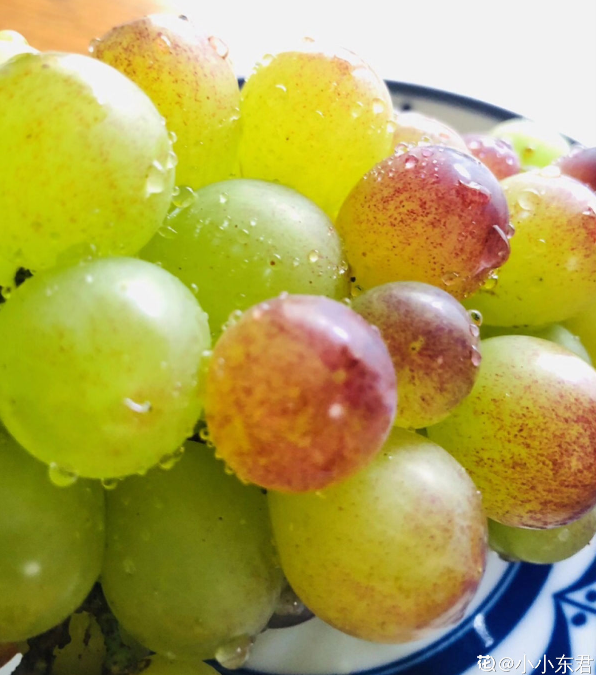 7种常见水果，秋天吃正是好时候，健康促消化