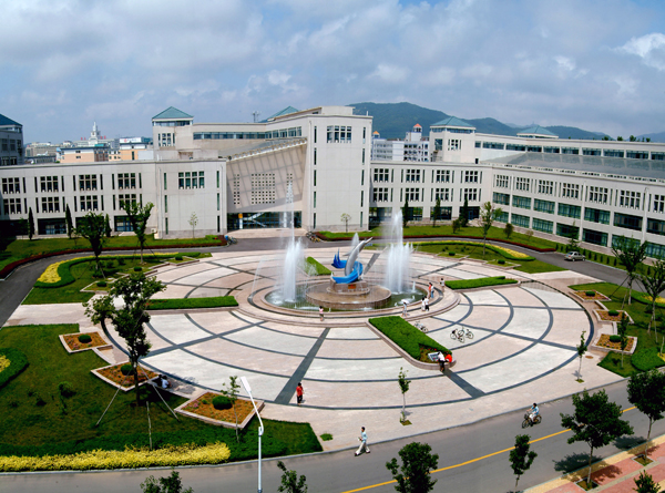 烟台大学2020年招生计划，2019年录取分数