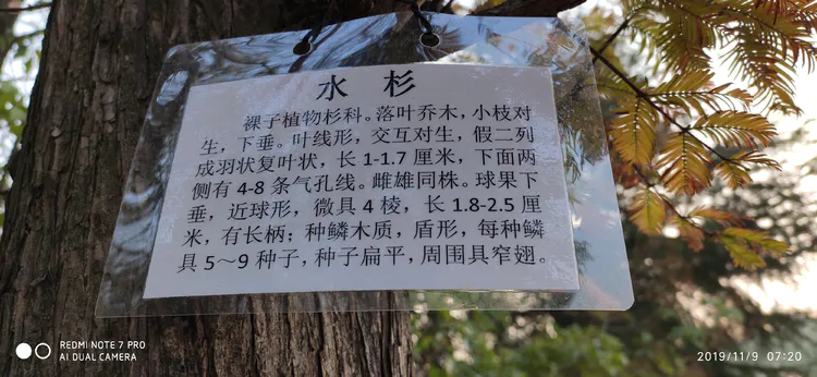 陪你一起看湖北省广水一中①——走进植物王国