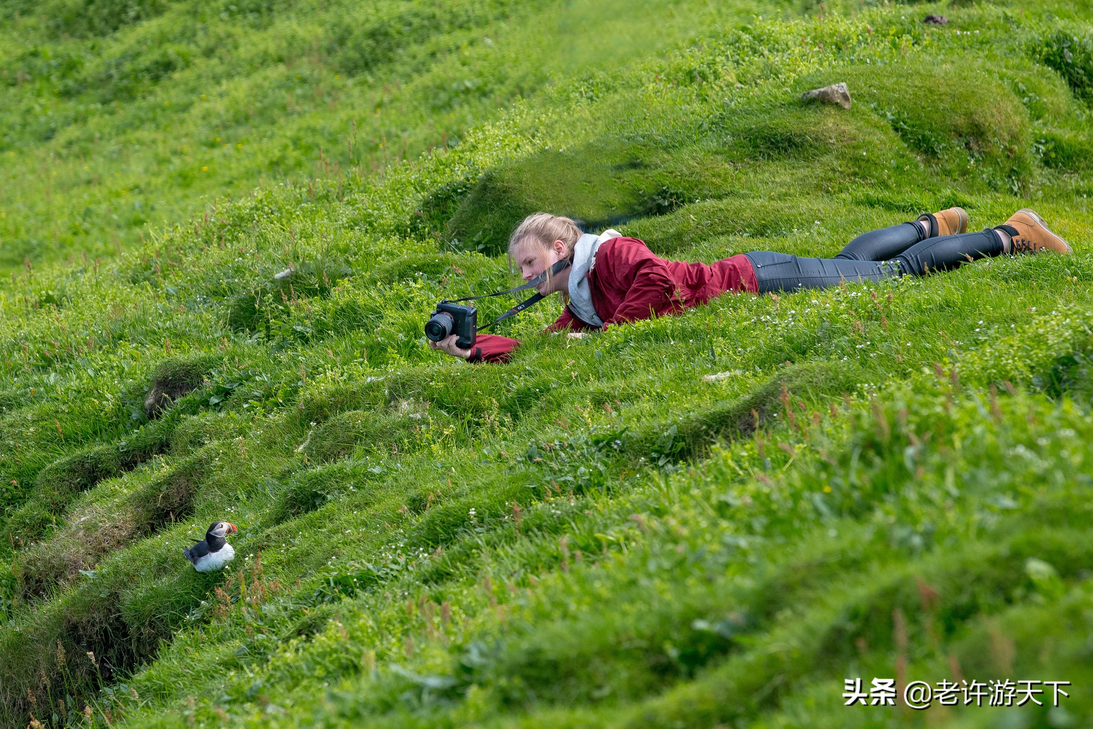 世界十大海岛旅游胜地（世界10个美丽海岛堪称度假胜地）