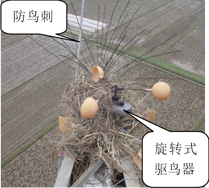 鸟害威胁电网安全，感应电压方法可有效驱鸟