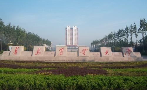 烟草行业好？填报这5所大学的烟草专业，不找关系也能进烟草公司