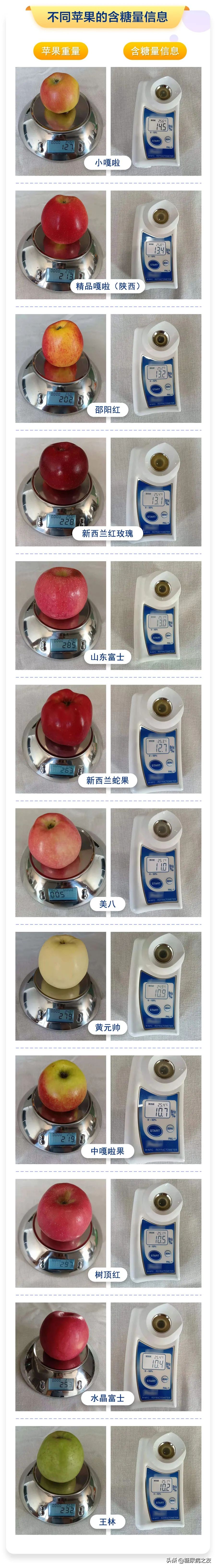 蘋果的種類,蘋果的種類有哪些