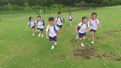 南山区外国语学校（集团）VS太子湾育才、深圳湾学校孰优孰劣