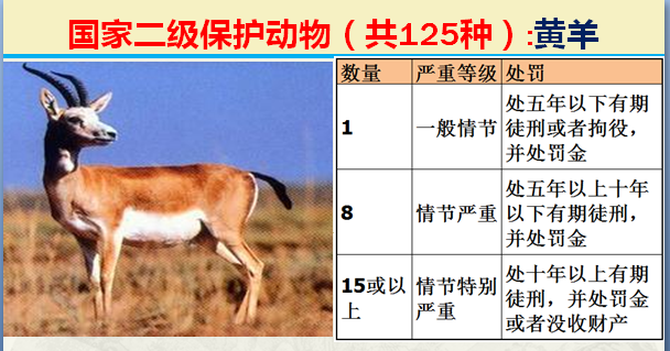 二级保护动物（国家最新125类二级野生保护名录）