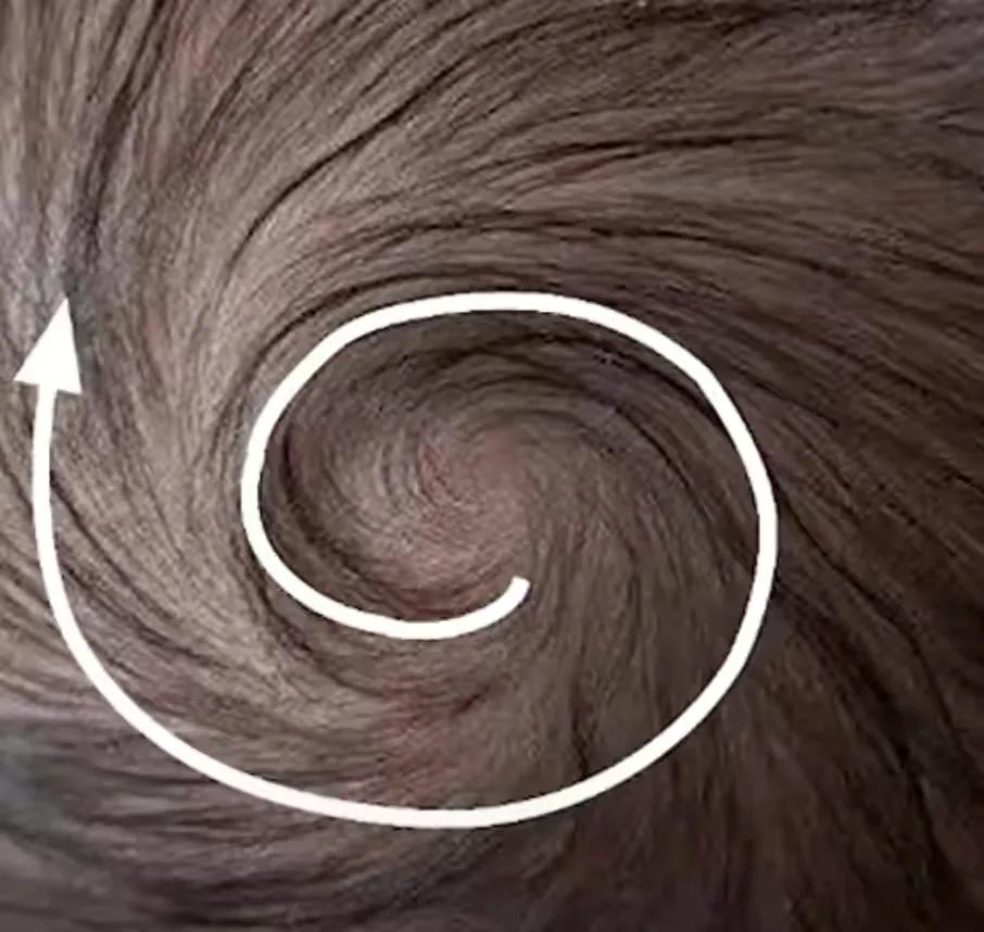 头上的发旋也会呈现明显的特征差异,像黄种人,黑人,白人,不仅头发颜色