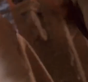 《九阳神功》全本，拿去！