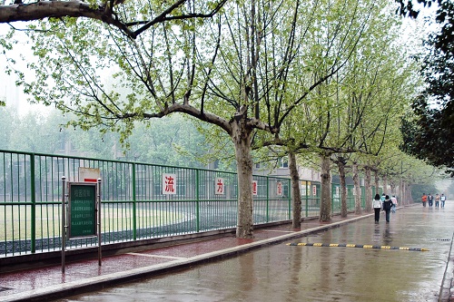 团结 勤奋 严谨 求实 创新 ‖ 西安电力高等专科学校