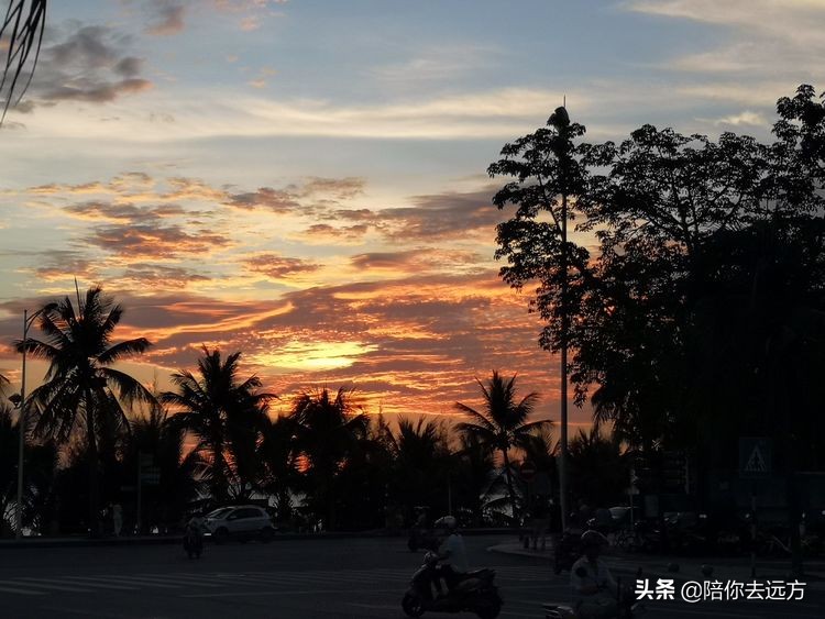 西沙~南海中的一片莲