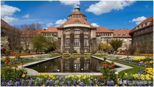 《青春斗》丁兰圆梦慕尼黑，慕尼黑大学究竟魅力何在？