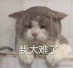 奥拉星：萌新良心攻略，75以前不想踩坑？这一篇就够了