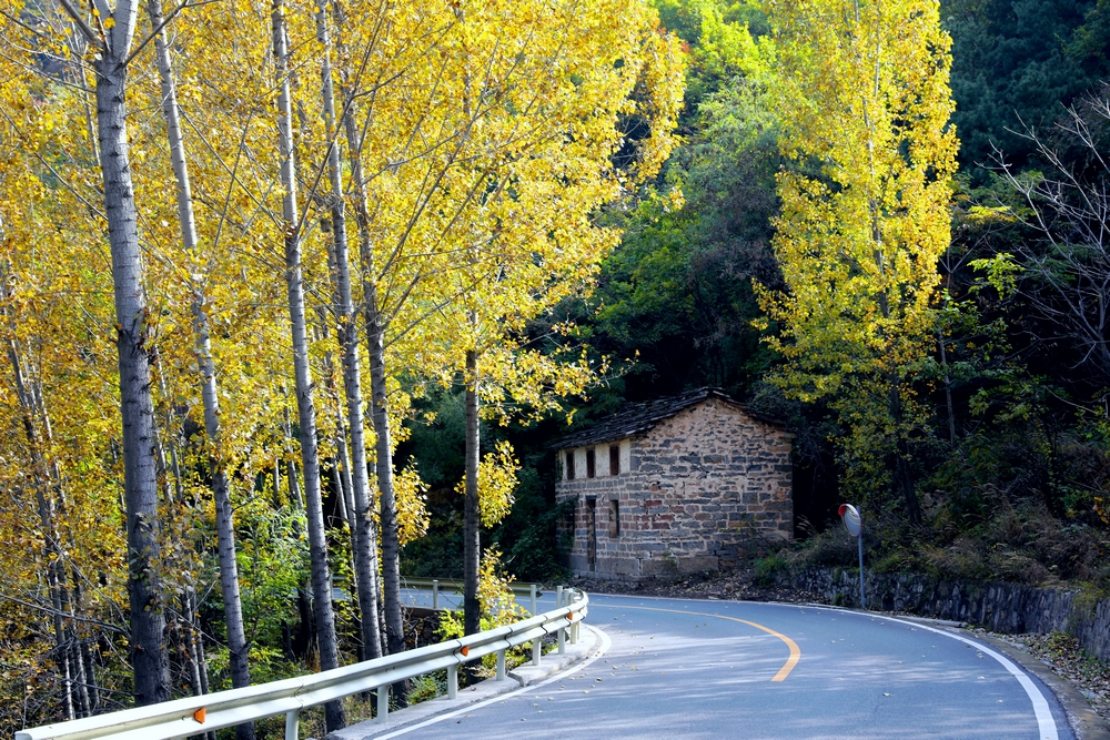 太行天路，五彩斑斓，峡谷如画，秋叶如诗