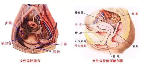 输卵管堵塞了，是吃药还是手术？