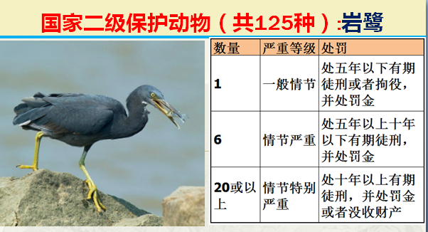 国家保护动物分几个等级（125类二级野生保护名录）