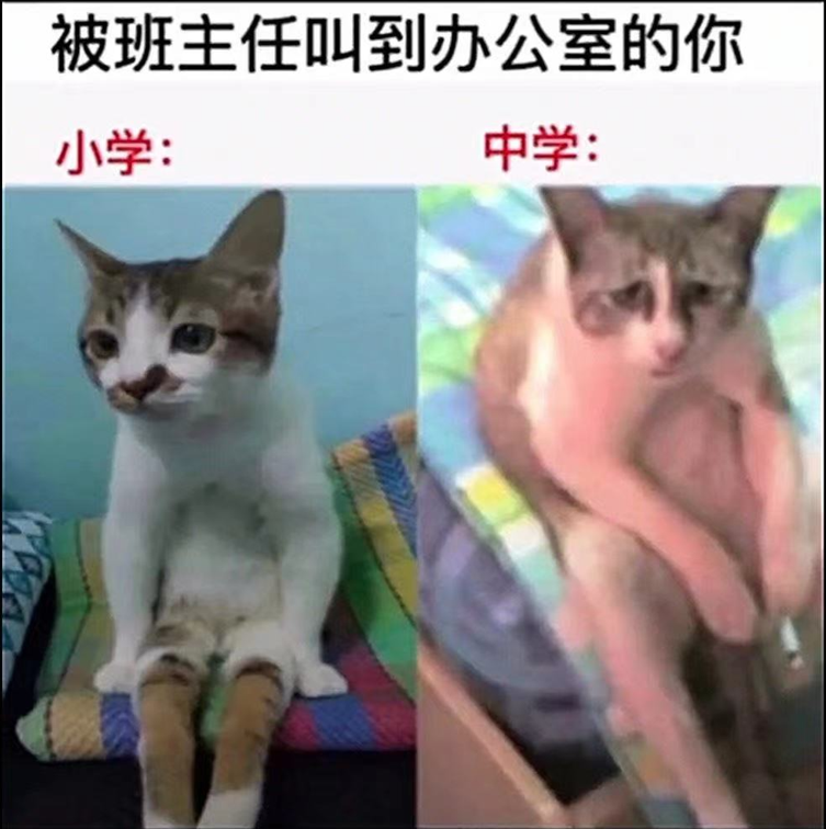 如何接吻？首先要找个舒服的地方，然后把门关好，再把灯关掉