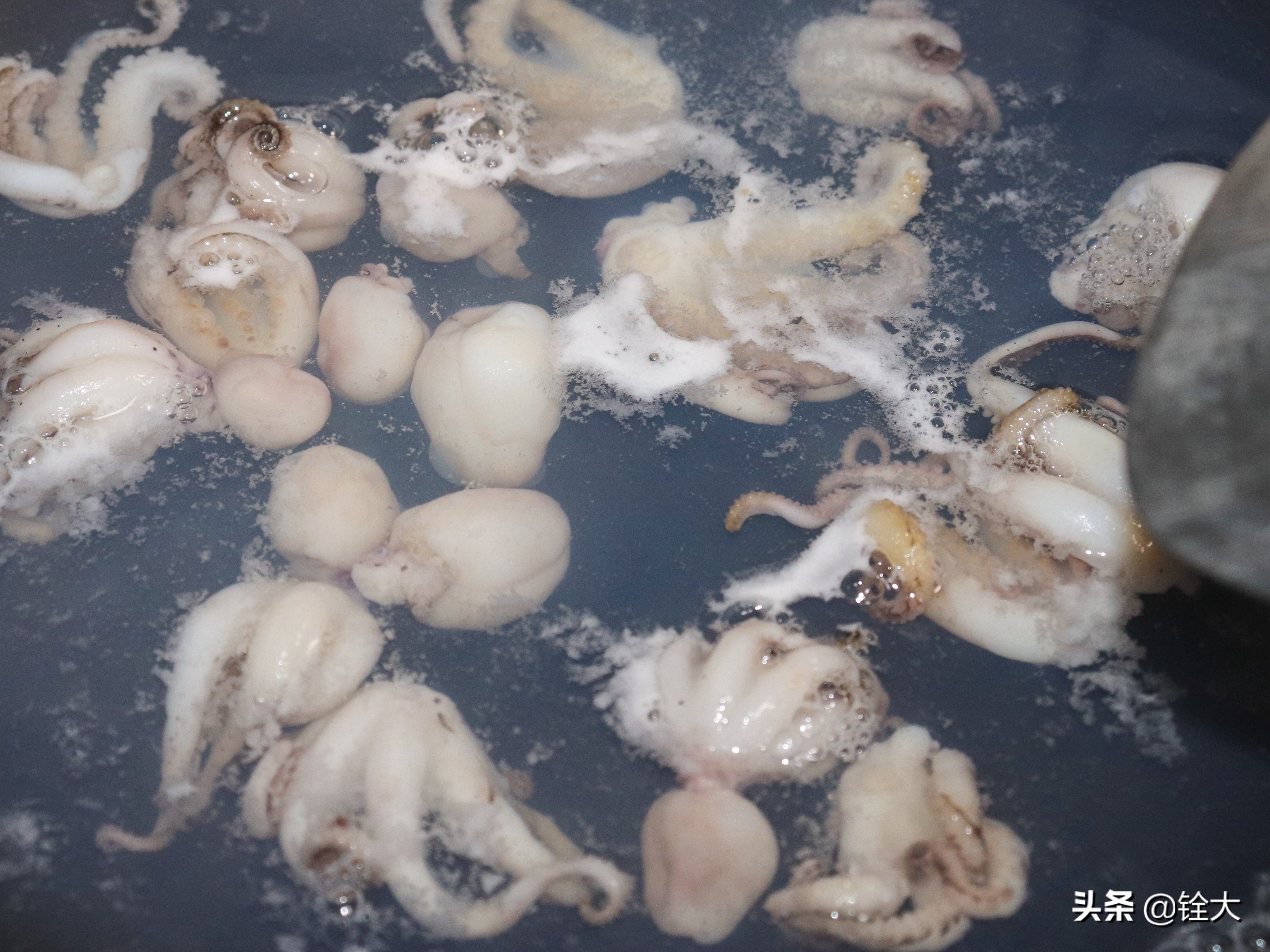 八爪鱼这样做,口感爽脆吃不够,搭配白蘑菇爆炒,香气扑鼻又美味