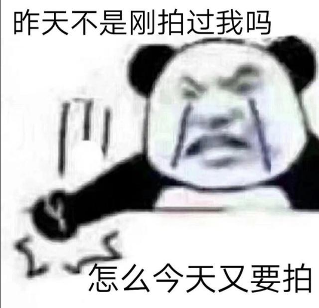 拍一拍表情包 拍了拍了会长不高的