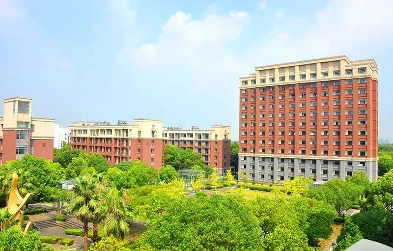 领科&光剑&上实三剑客该如何选择？多方面对比