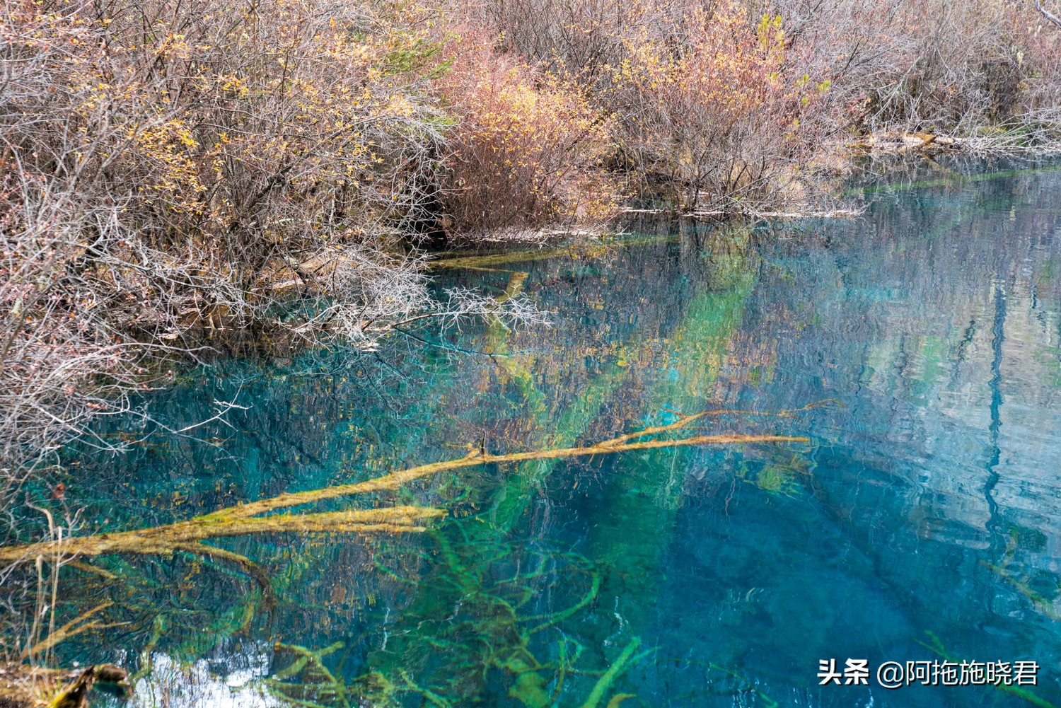 “此景只应天上有”，为之沉醉的九寨沟