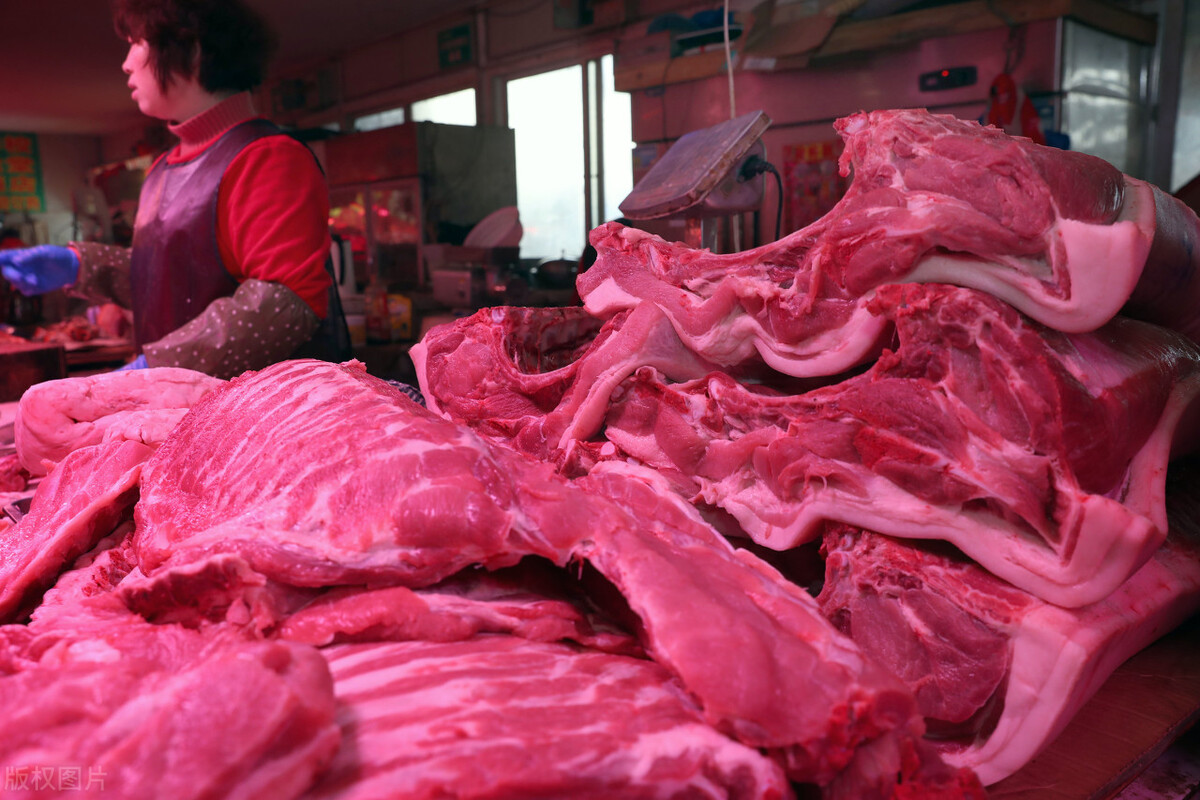 内蒙古赤峰市猪价今日猪价「内蒙古赤峰市今日猪价」