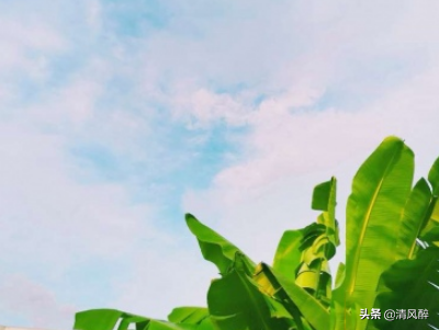 如何委婉的说一个人胖搞笑说说