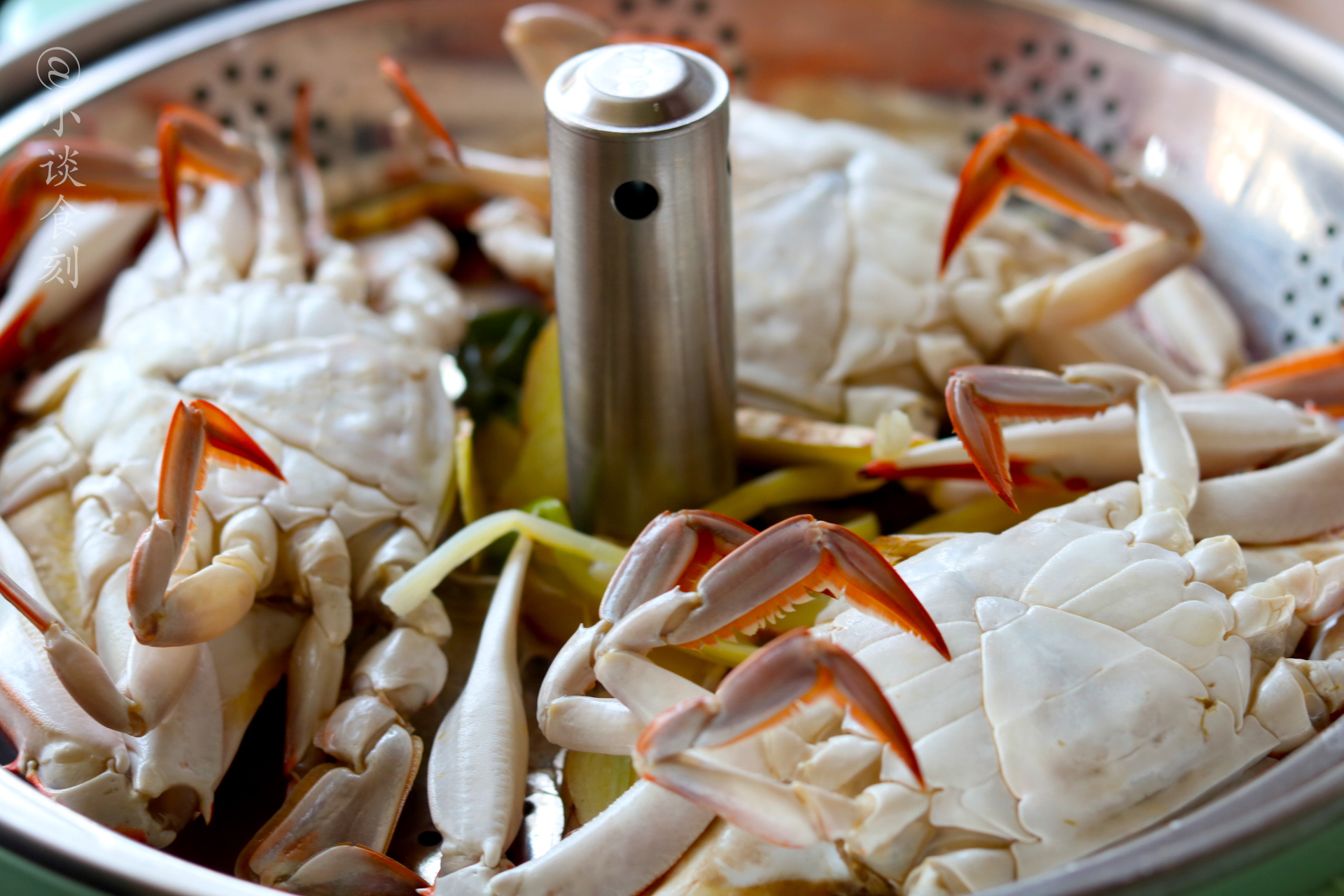 梭子蟹水煮多长时间 -生活知识库-donow知识库