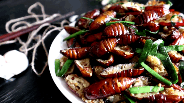 蚕蛹价格2016(一斤只要30块) - 价格百科