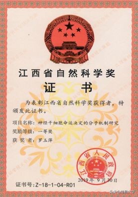 我们的2019 | 走进生命科学学院、玛丽女王学院、管理学院、基础医学院、工会、保卫处