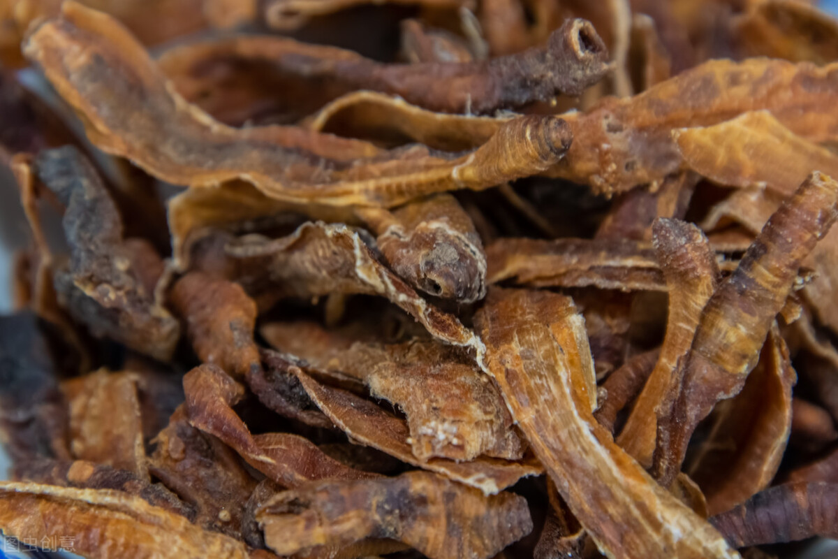 地龙的功效与作用 地龙的药用功效与主治 -新时代资讯