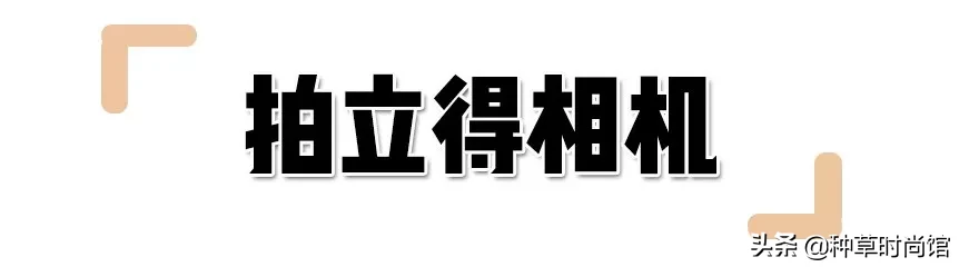 8款情人节礼物！太太太太甜了