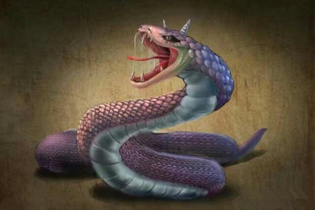 其中一条龙是人类祖先