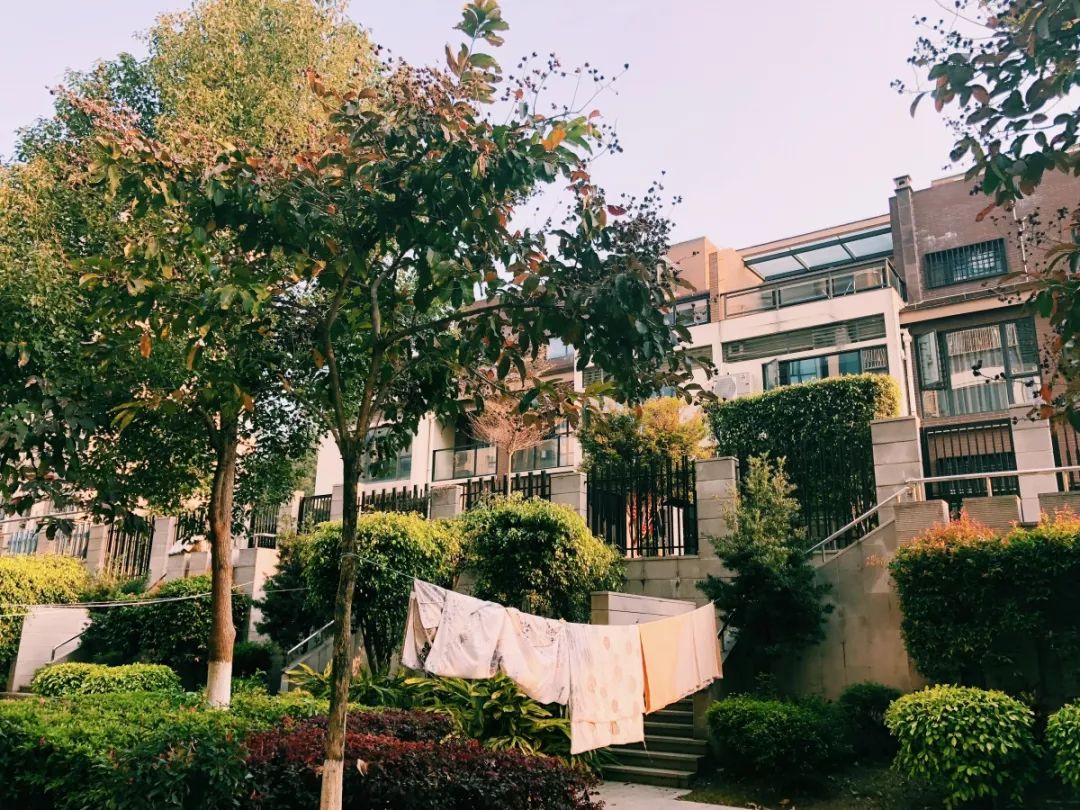 老破小一平10万+！我们走遍厦门18所名校，为你曝光最贵学区房！