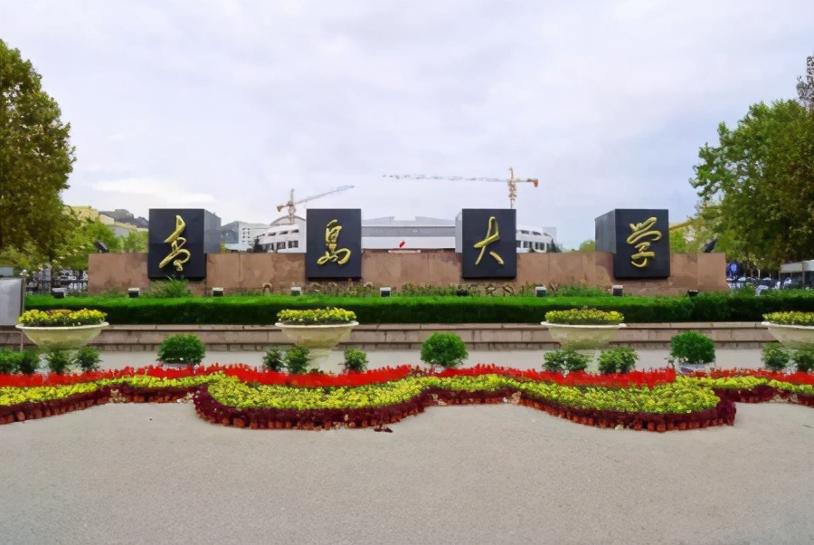 青岛大学运动会火了，举牌女生个个赛仙女，网友：行走的招生简章