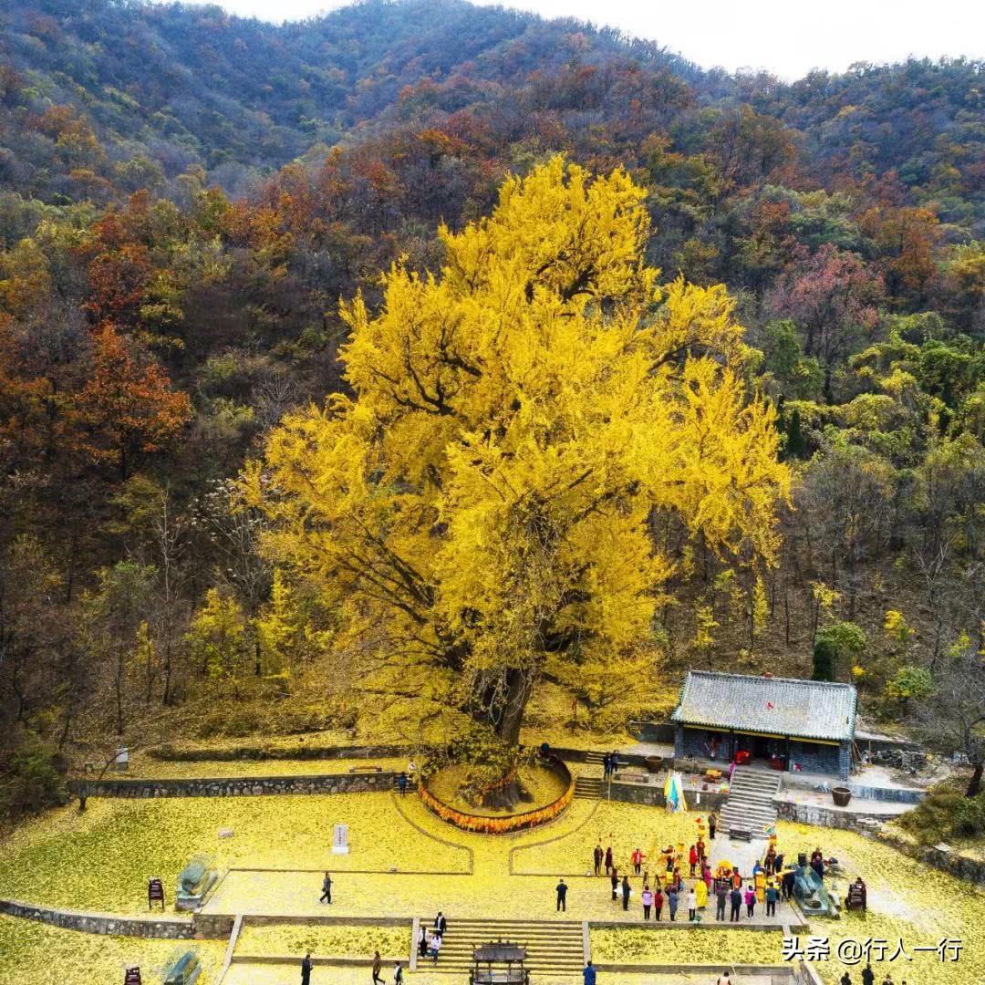 河南的秋天，这10大景区一定要去看看，每一处都美出仙境，还免费