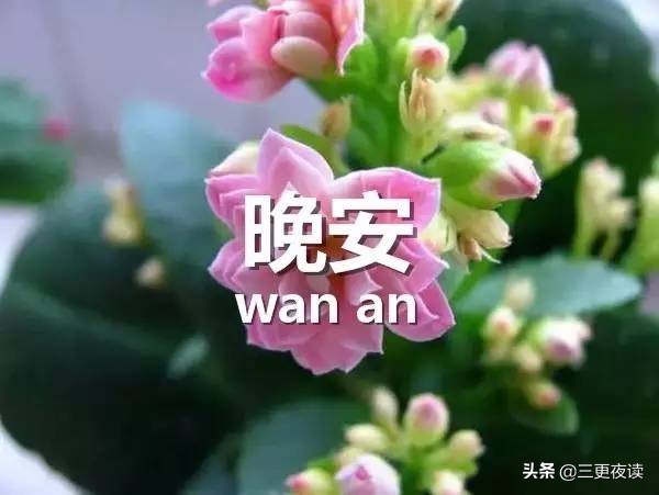 努力耕耘，不负时光，每一份坚持都在照亮前行的路。